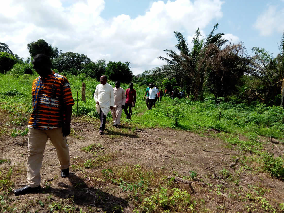 Agrandir 10_reel_1511265076.jpg