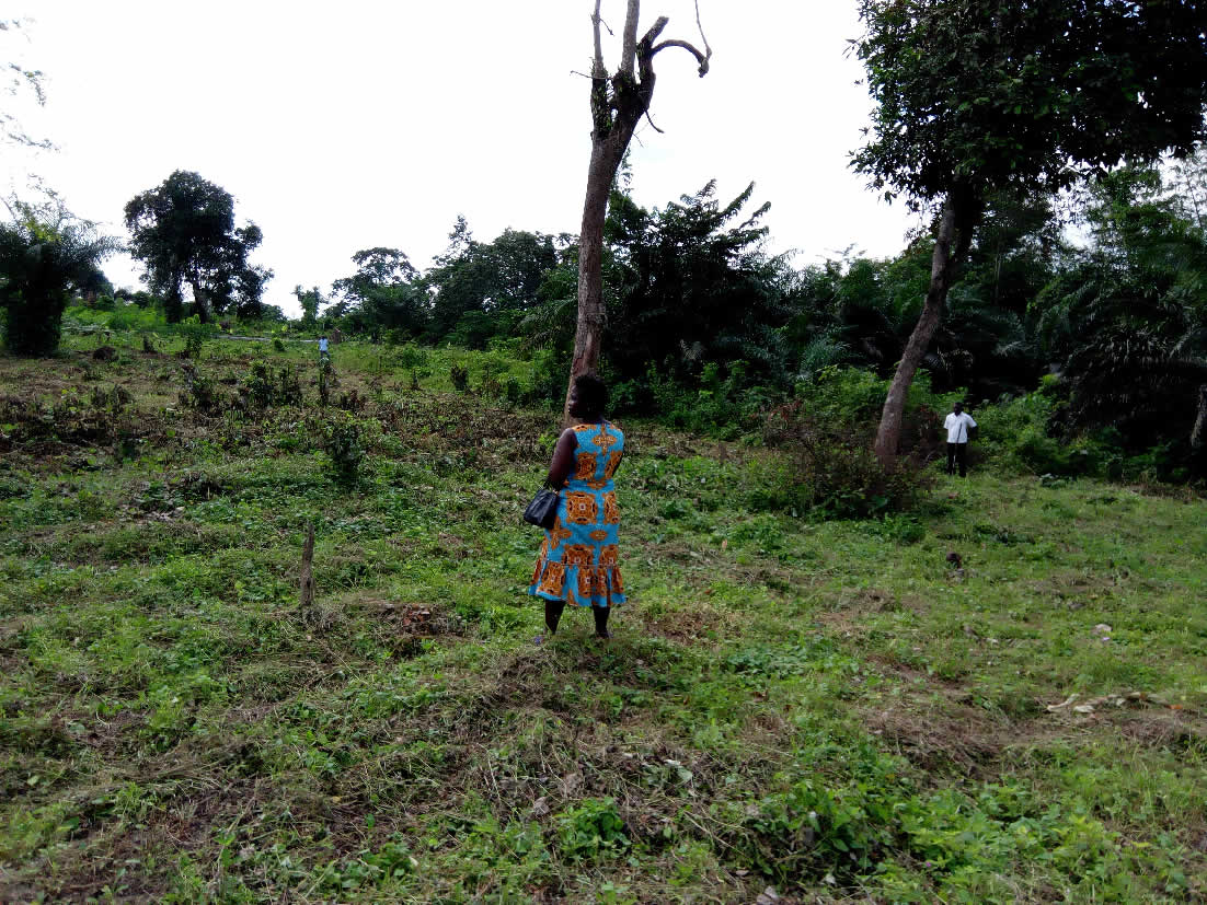 Agrandir 10_reel_15112650762.jpg