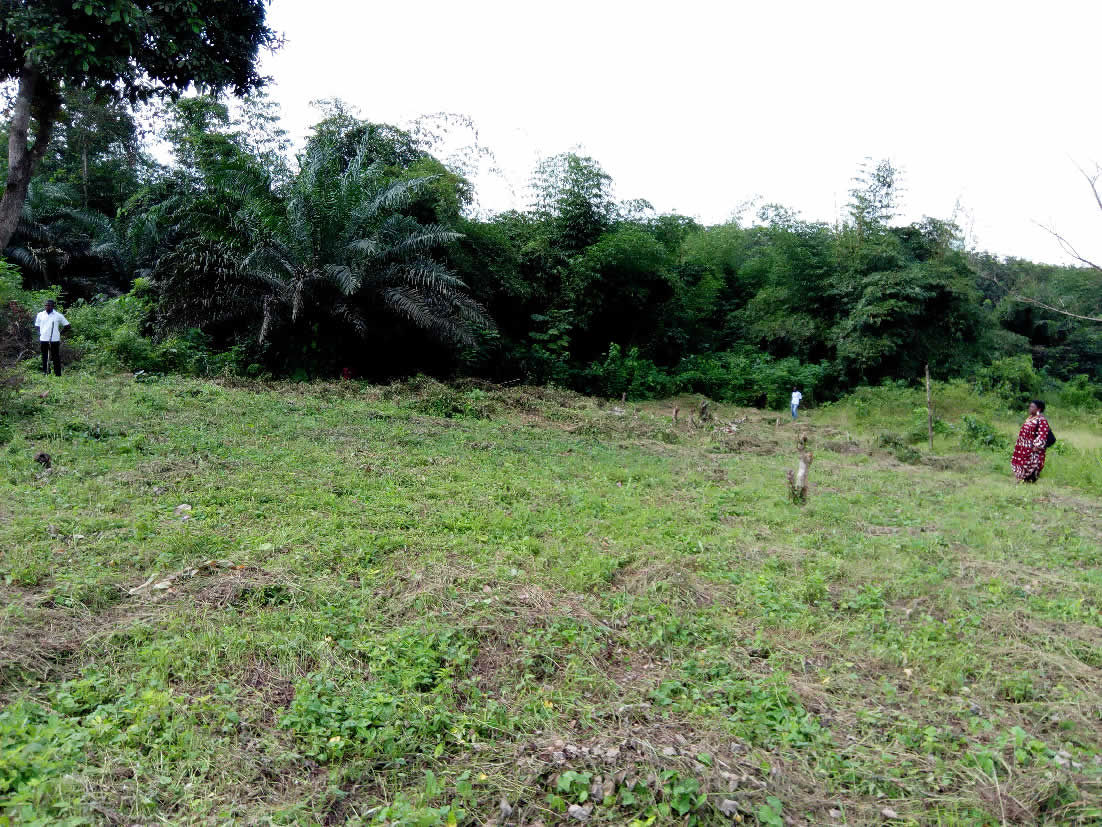 Agrandir 10_reel_15112650763.jpg