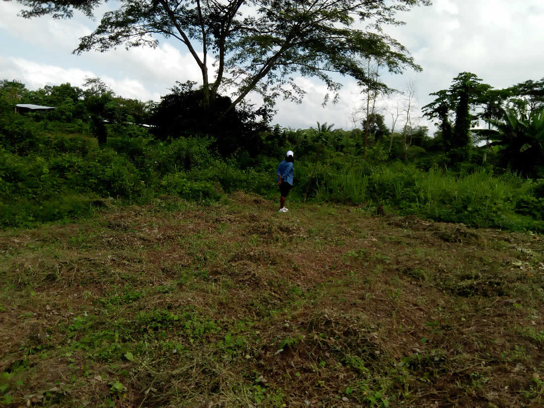 Agrandir 10_reel_15112650764.jpg