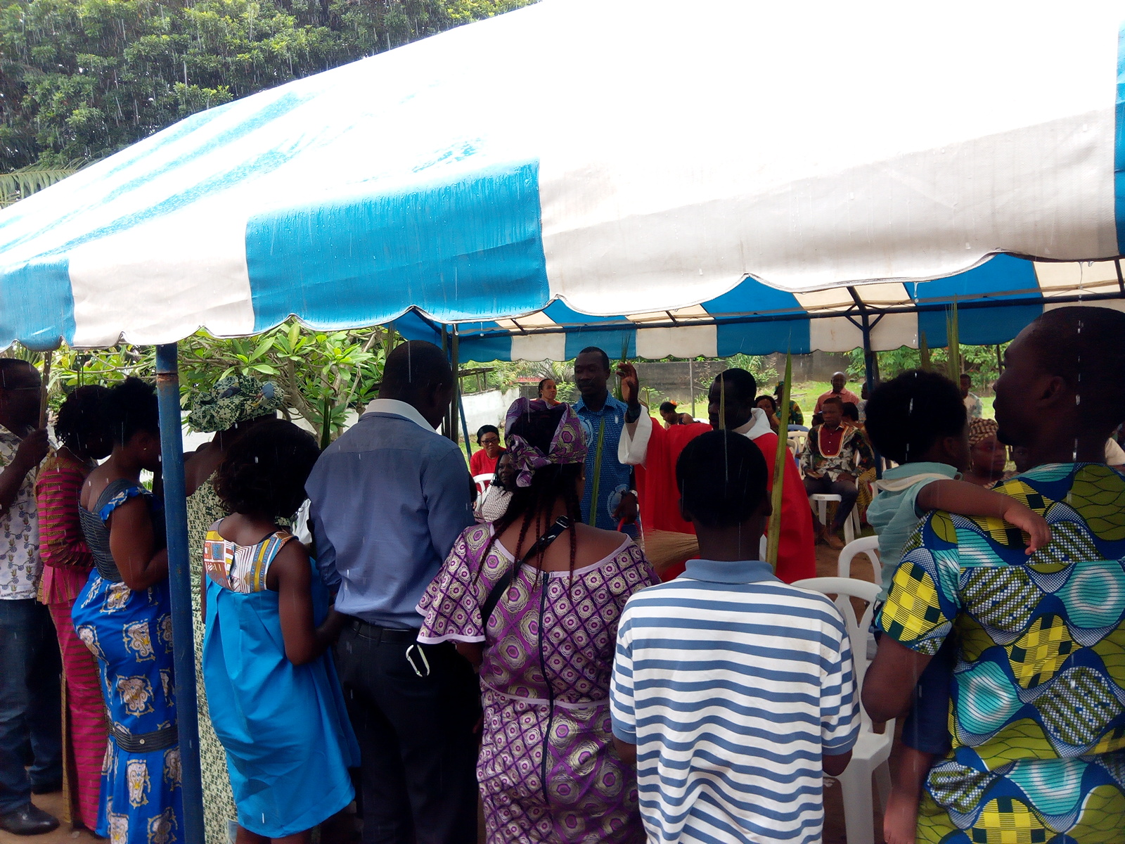 Agrandir 12_reel_15221519802.jpg