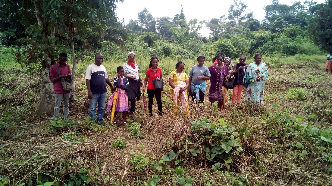 Agrandir 8_reel_15084413892.jpg