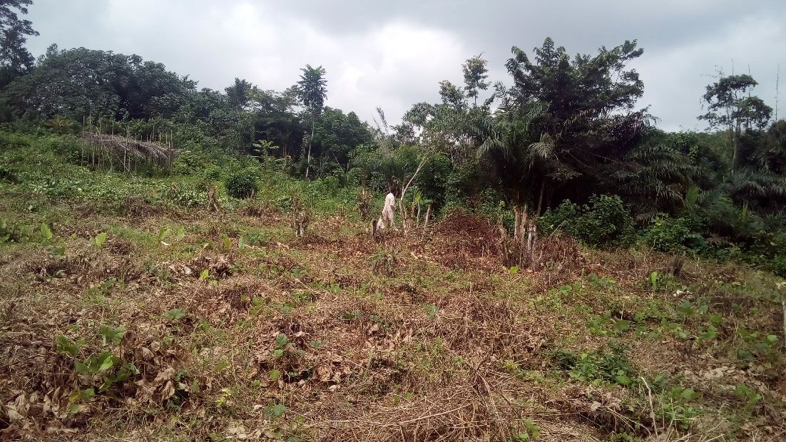 Le site de la CHAPELLE